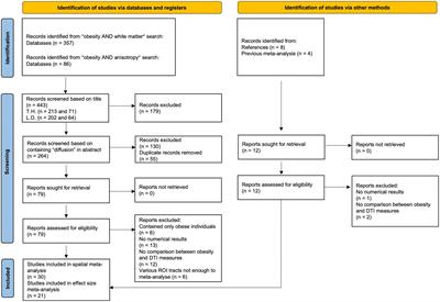 Extended and replicated white matter changes in obesity: Voxel-based and region of interest meta-analyses of diffusion tensor imaging studies